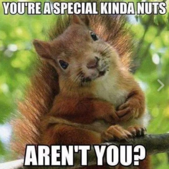 Me! Other - LIKE TO RECEIVE LIVE SHOW NOTIFICATIONS! Next Show: Who knows?